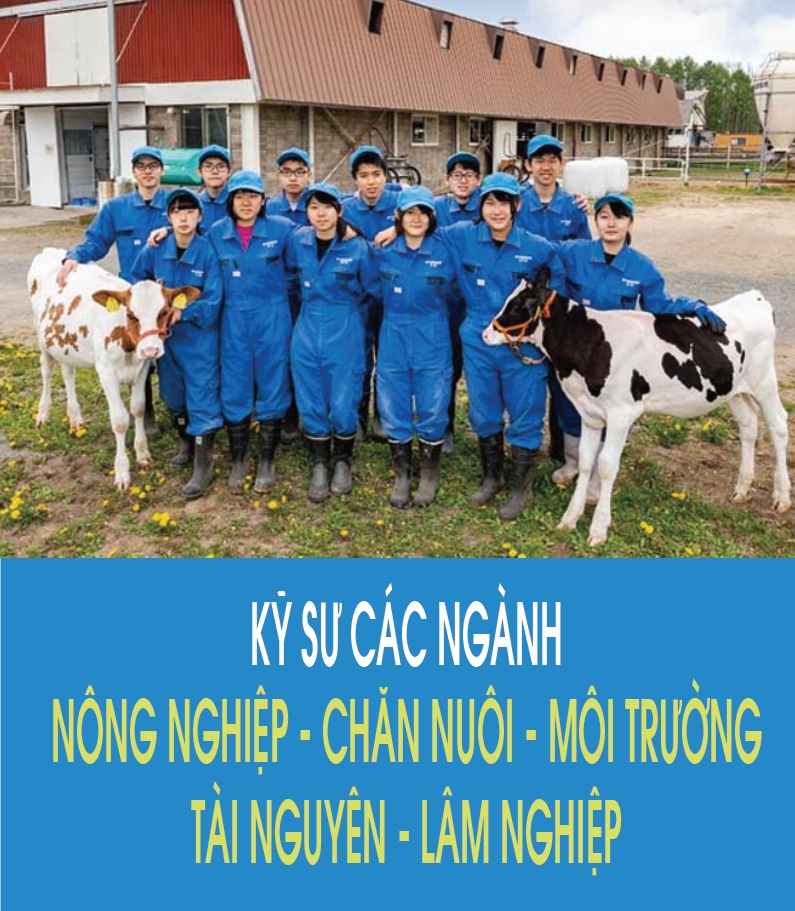 Kỹ sư thú y, chăn nuôi làm việc tại Nhật Bản